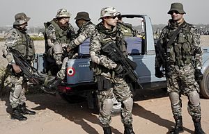 Para clearance commando jacket
