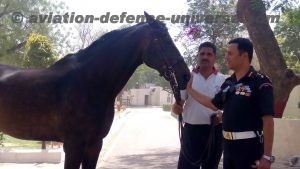 Colonel Dheeraj Chengappa patting his horse in the stable area of the PBG at Rashtrapati Bhawan.