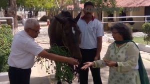 Team ADU feeding a horse during its visit to the President's Body Guard at Rashtrapati Bawan. Managing Editor Brig. VK Atray & Editor Sangeeta Saxena visited the stables and saw all the horses. Seen in this picture is the horseman who looks after this horse.