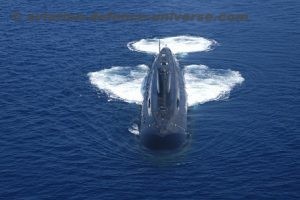 Indian Navy’s submarines