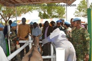 Acting Governor of Central Upper Nile State inspects the sick animal in Veterinary Hospital