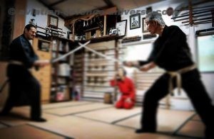 Ninjutsu-Martial Art Ninjutsu-Martial Art