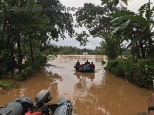 Gemini boats