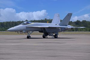 Super Hornet Blue Angel Test Jet