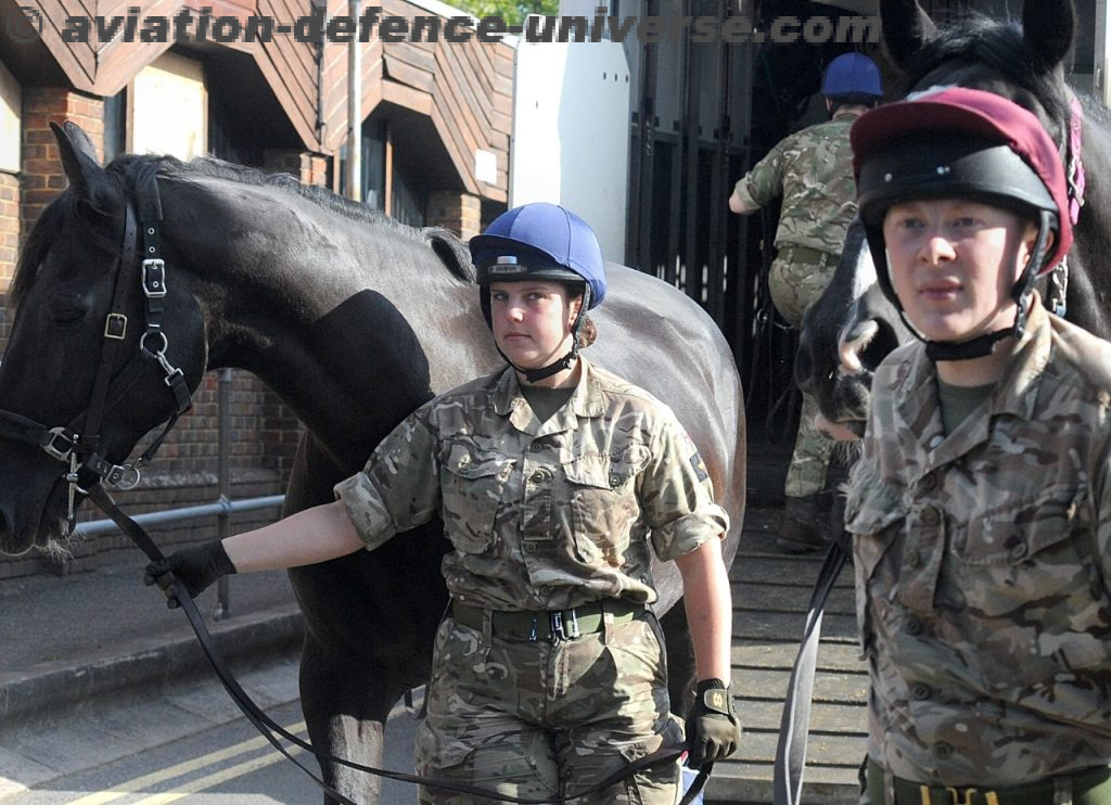The Kings Troop Royal Horse Artillery