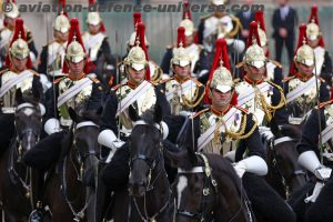  The Household Cavalry Regiment