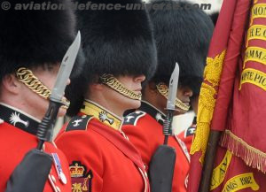 King's Guard at Buckinghan Palace