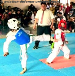 Indo-Nepal Taekwondo Championship: CAD Pulgaon Children Make India Proud