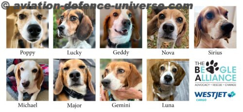 WestJet Cargo Named Official Transport Provider for The Beagle Alliance