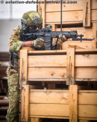 ARAD Rifles 